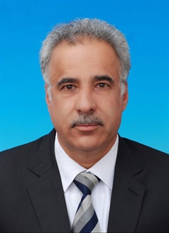 Mohammad Rafi Rostami